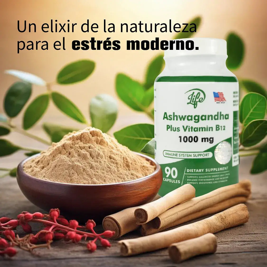 Ashwaganda Plus Vitamin B12